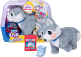 Little Live Pets Ouchies – Aspen the Husky Puppy